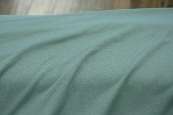 Bambusjersey // Salbei