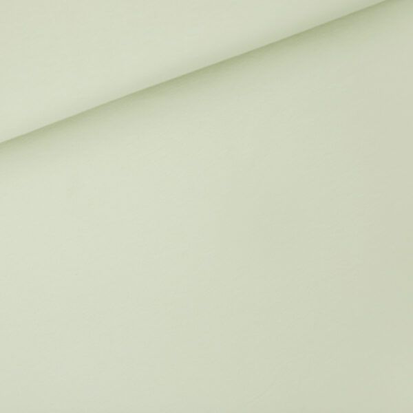 French Terry // SYAS // Fog Green