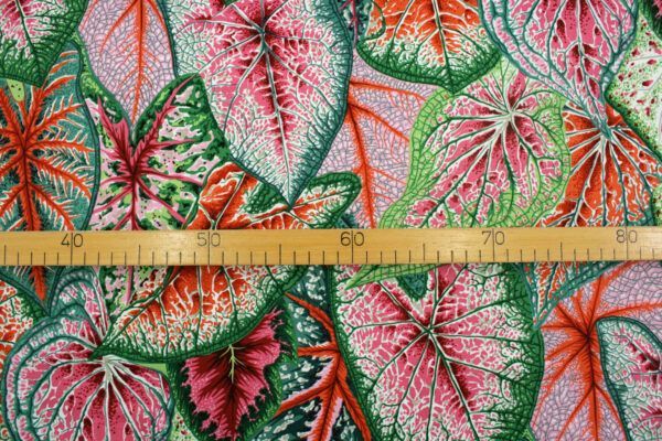 Popeline // Kaffe Fassett // Caladiums // Bright – Bild 3
