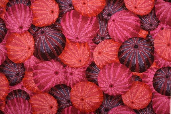 Popeline // Kaffe Fassett // Sea Urchins // Red – Bild 5