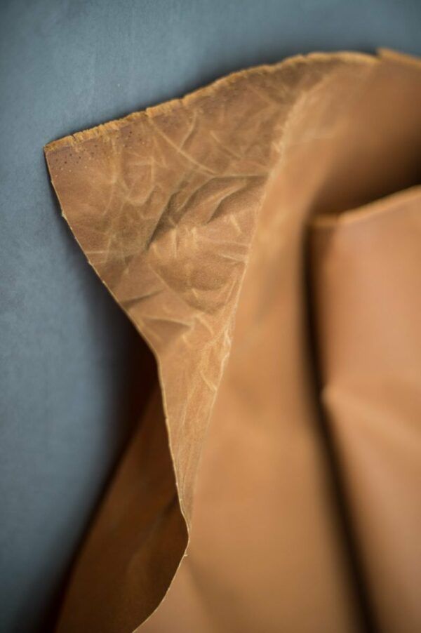 Organic Oilskin // Merchant & Mills // Gold
