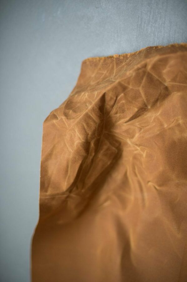 Organic Oilskin // Merchant & Mills // Gold – Bild 2