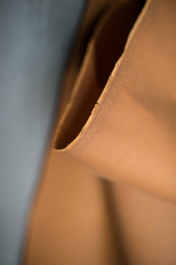 Organic Oilskin // Merchant & Mills // Gold – Bild 3