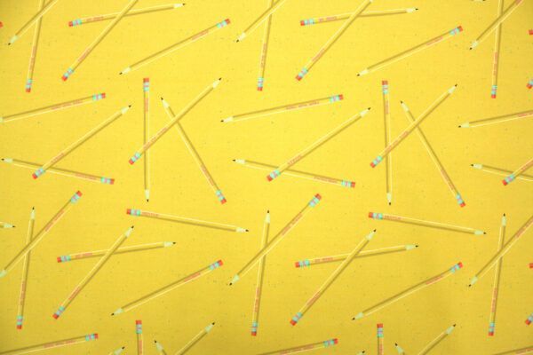 Popeline // Paintbrush Studio Fabrics // Lookin Sharp – Bild 4