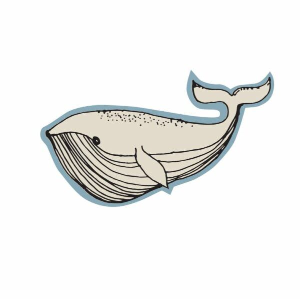 Applikation // Whale
