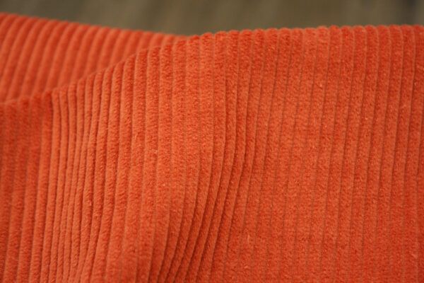 Cord // Carrot
