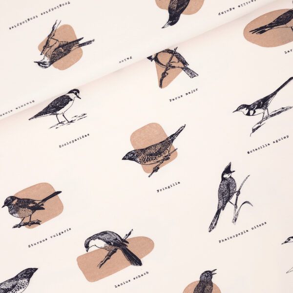 French Terry // SYAS // Ornithology // Slightly Beige
