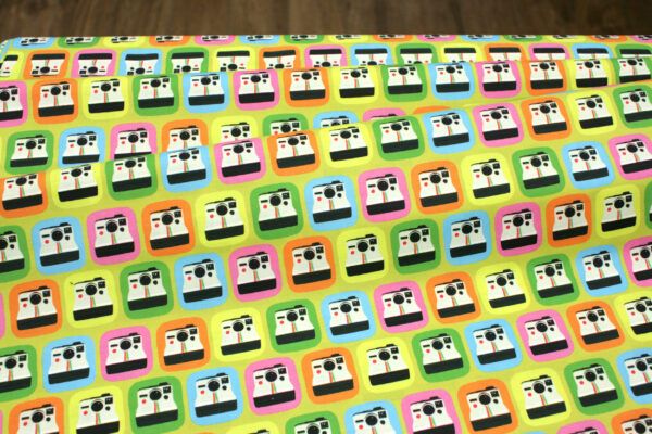Popeline // Paintbrush Studio Fabrics // Sunshine Inn // Say Cheese – Bild 4