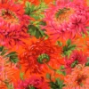 Popeline // Kaffe Fassett // Shaggy // Red