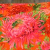 Popeline // Kaffe Fassett // Shaggy // Red – Bild 2