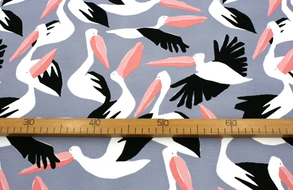 BIO Canvas // Clod 9 // Pelicans – Bild 5