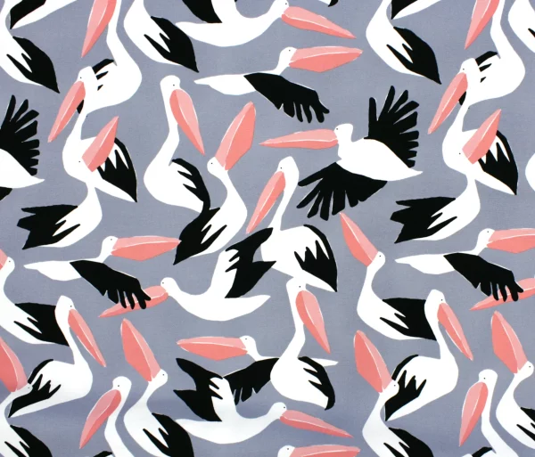 BIO Canvas // Clod 9 // Pelicans – Bild 4