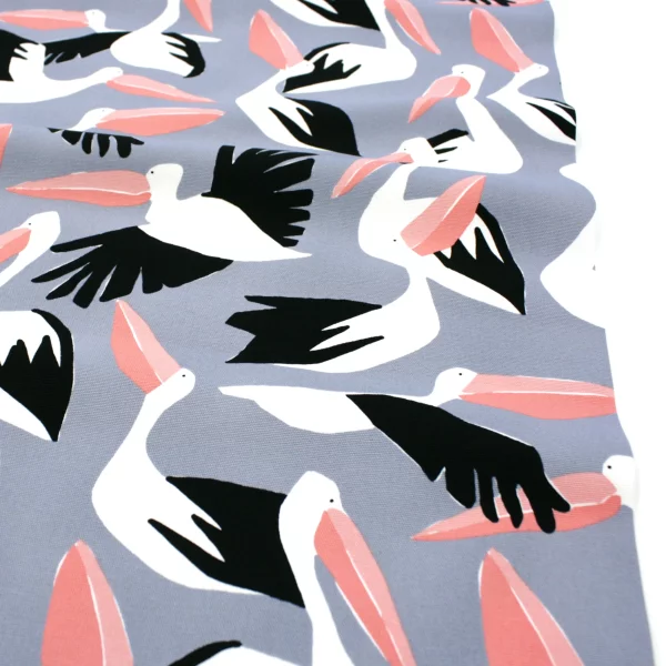 BIO Canvas // Clod 9 // Pelicans