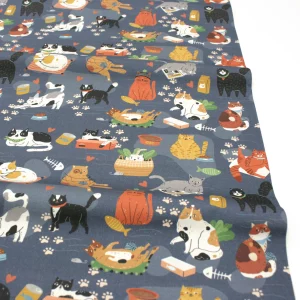 Popeline // Here Kitty Kitty