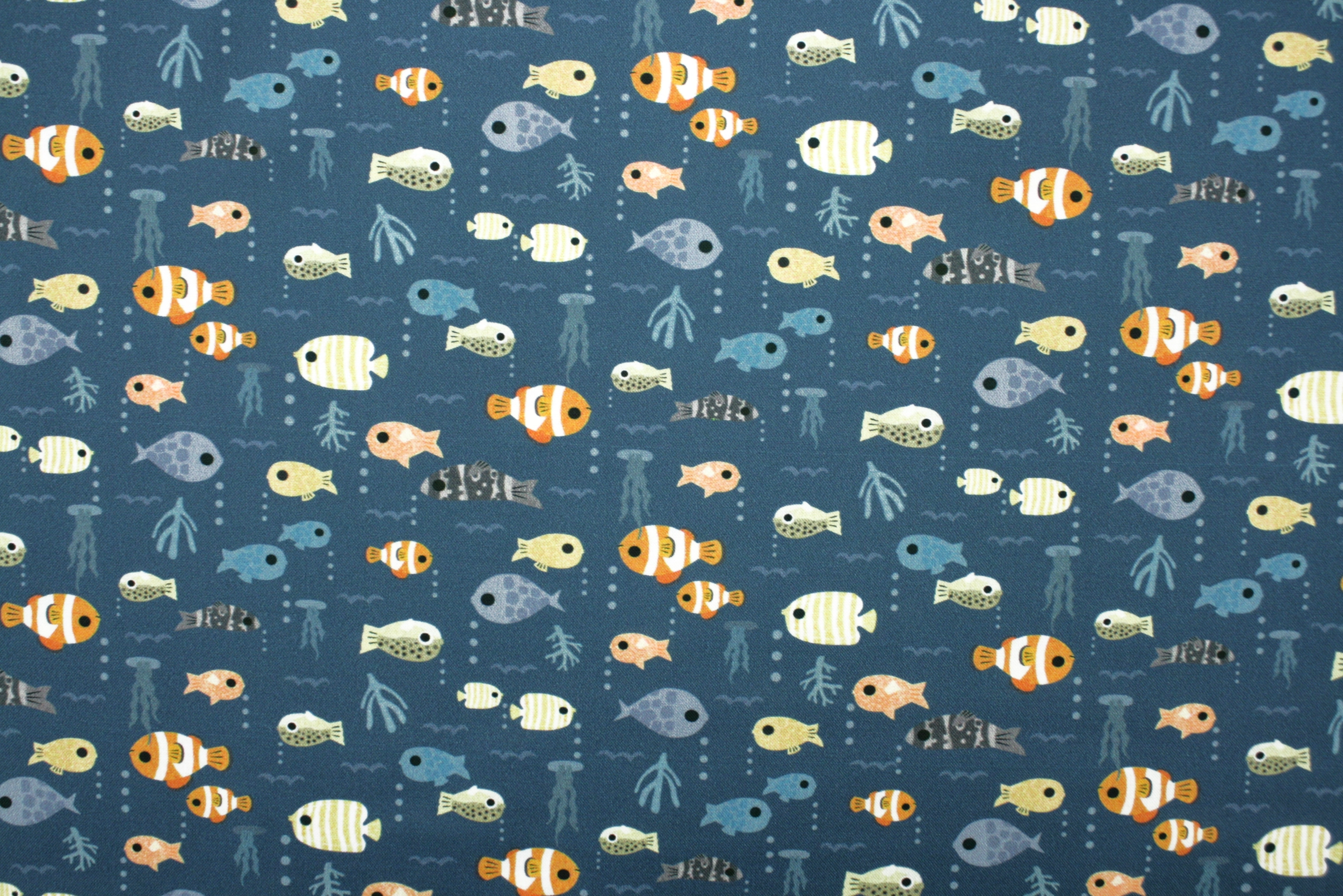 Popeline // Dear Stella // Any-Fin Is Possible – Bild 5