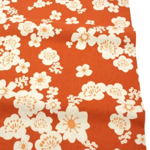 Canvas // Ruby Star Society // Hana Persimmon